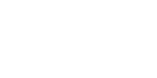 Logo de Pinisi Home
